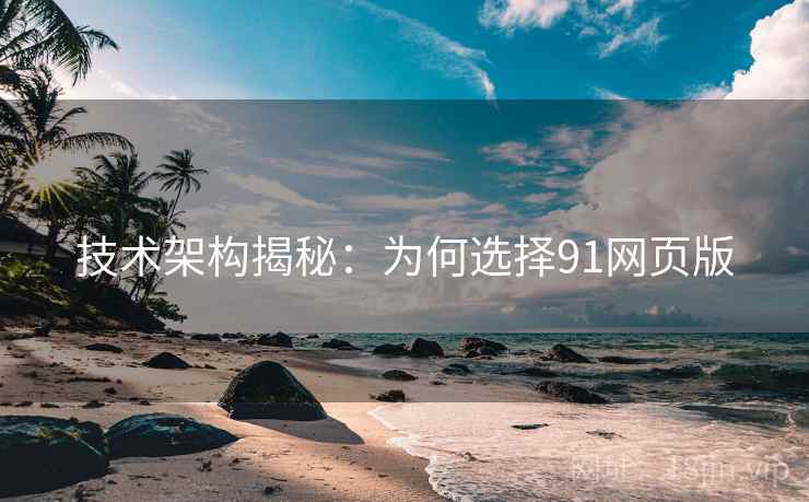 技术架构揭秘：为何选择91网页版