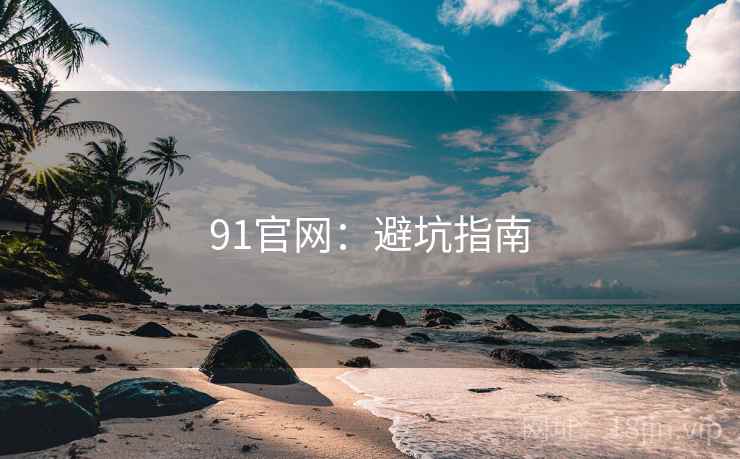 91官网:避坑指南