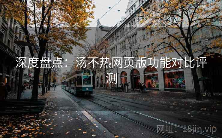 深度盘点:汤不热网页版功能对比评测