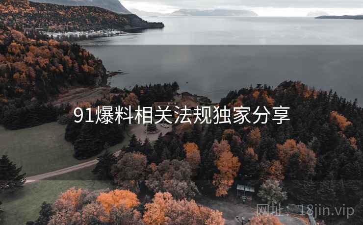 91爆料相关法规独家分享