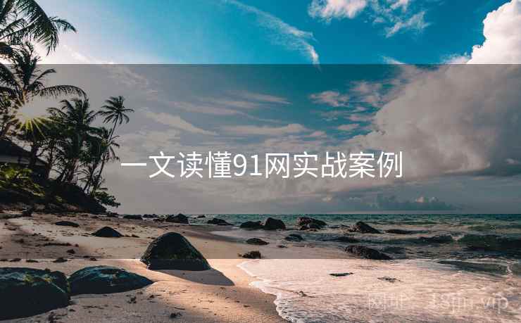 一文读懂91网实战案例