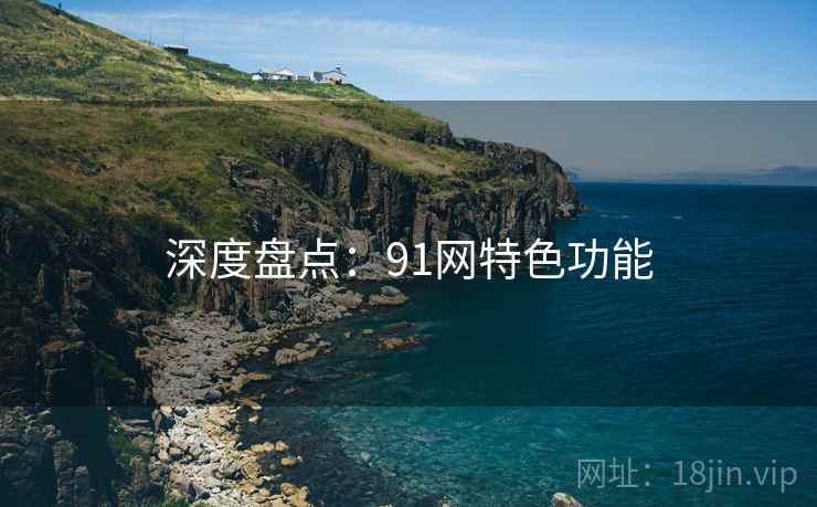 深度盘点：91网特色功能