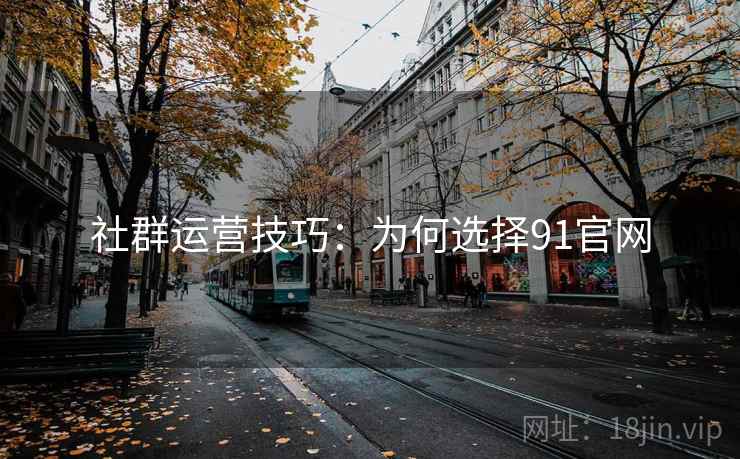 社群运营技巧：为何选择91官网