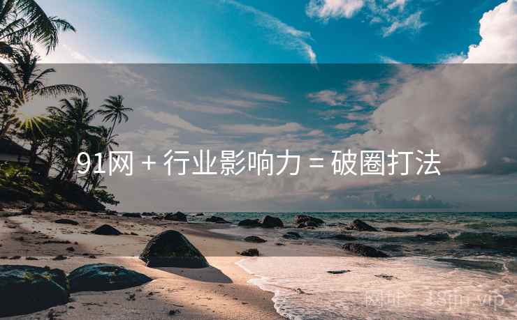 91网 + 行业影响力 = 破圈打法