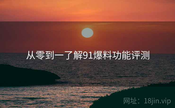 从零到一了解91爆料功能评测