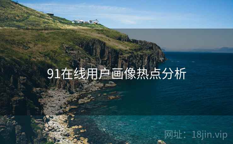 91在线用户画像热点分析